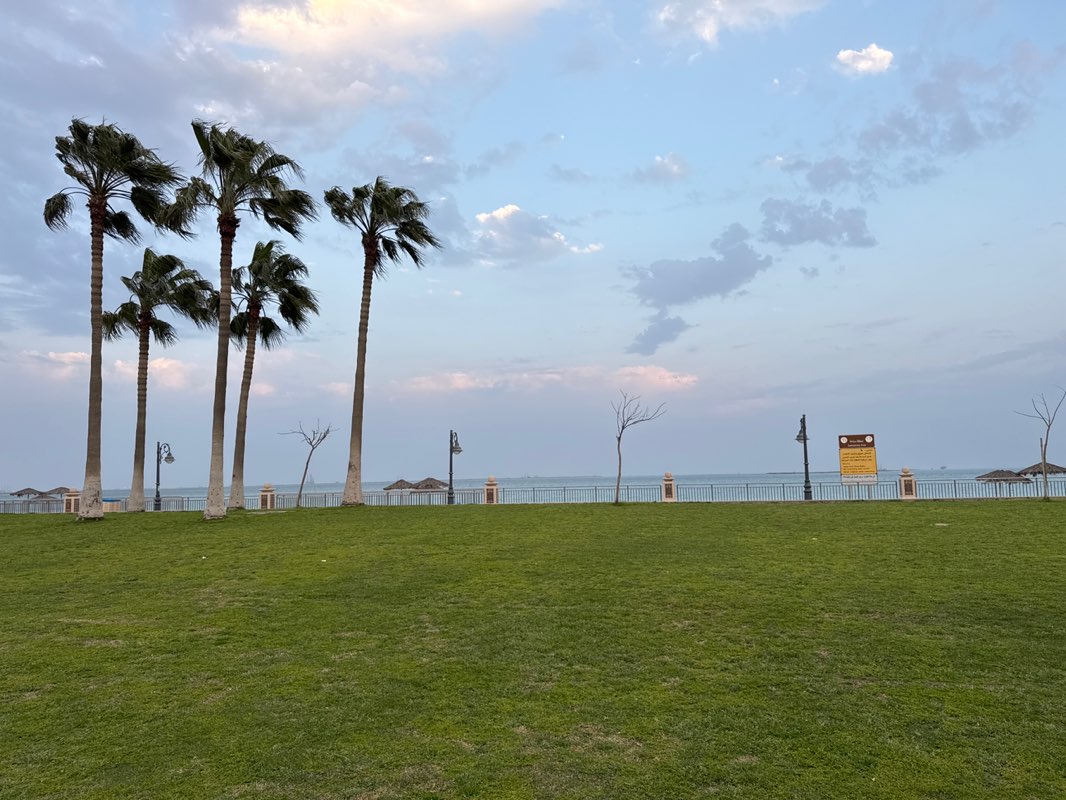 walking near me in Alfanateer Corniche in spring