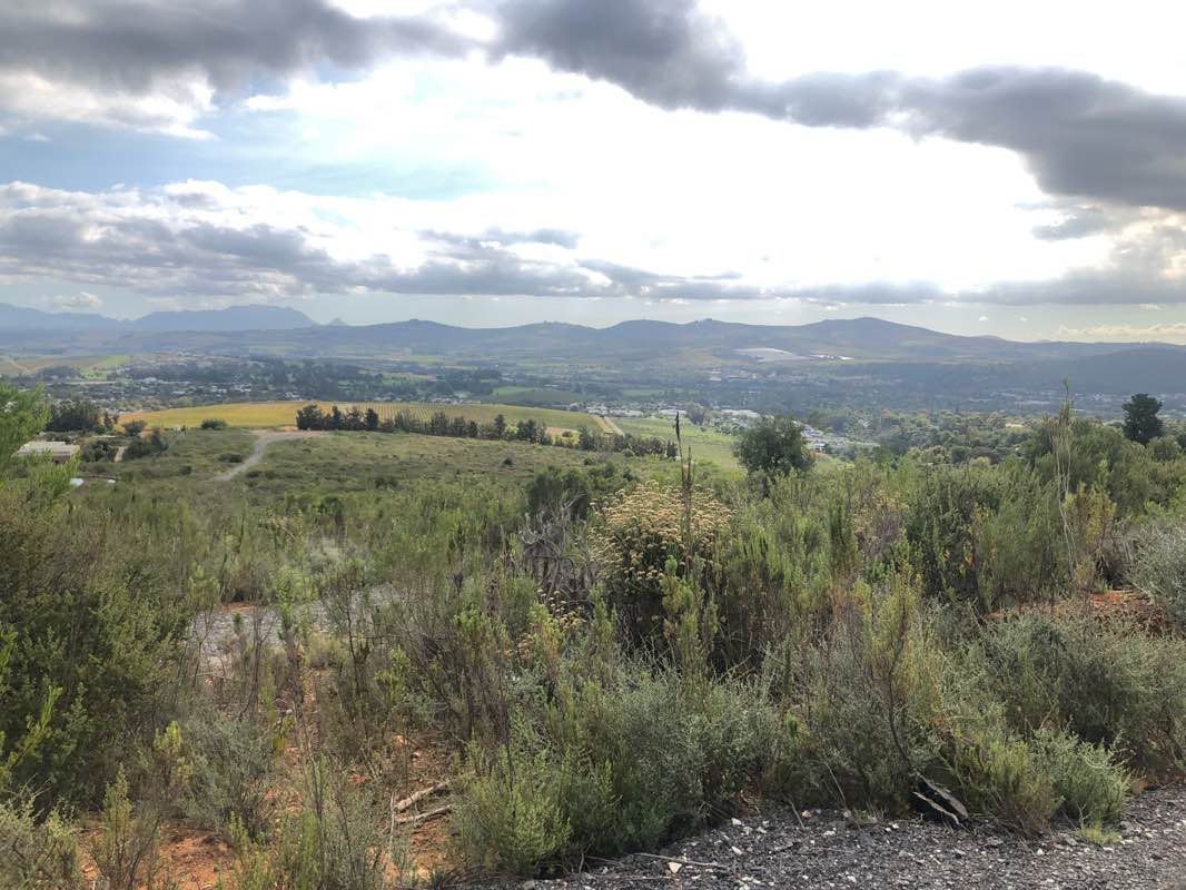 walking near me in Eerste River Park in summer