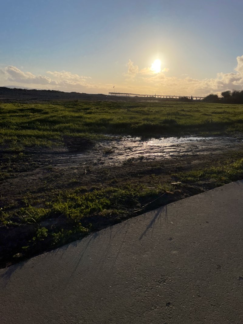 walking near me in San Buenaventura State Beach in winter