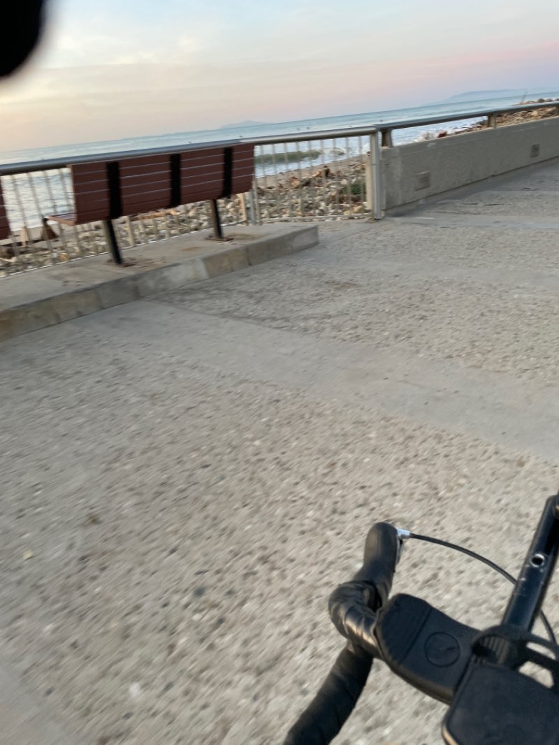 walking near me in Memorial Park in winter