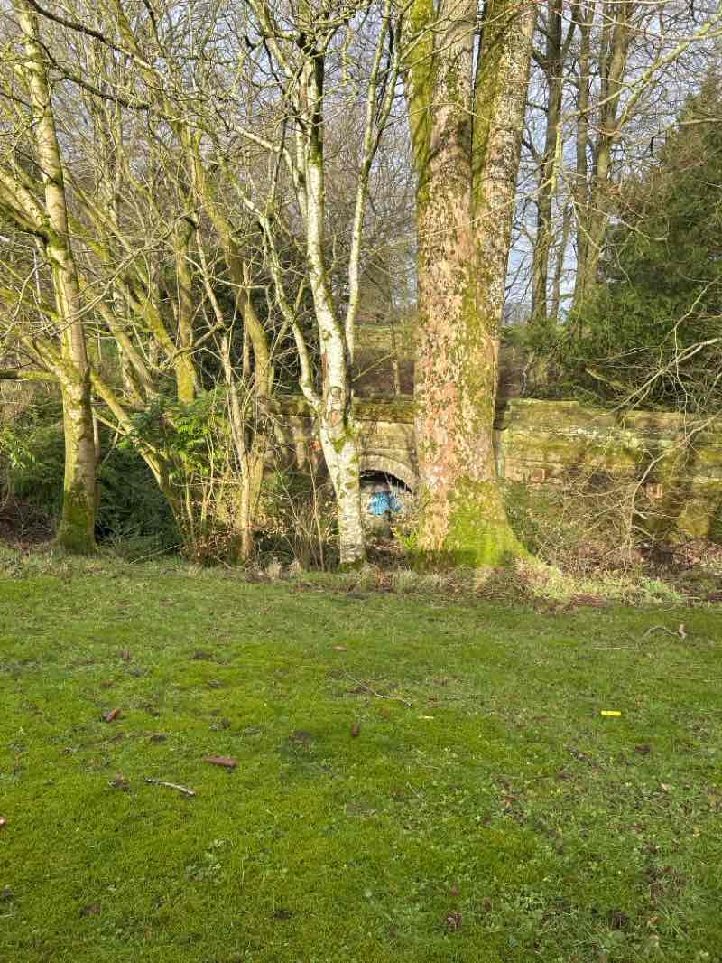 walking near me in Kirkland Park in winter