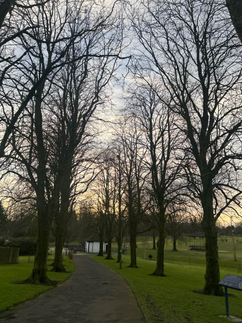 walking near me in George Allan Park in winter