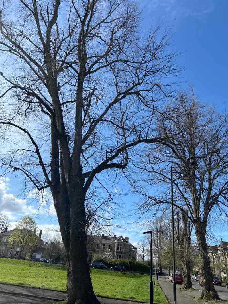walking near me in Victoria Park in spring
