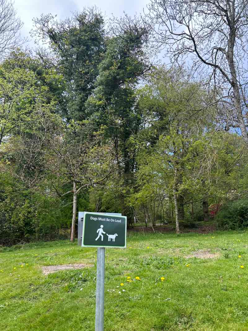 walking near me in Pollok Country Park in spring