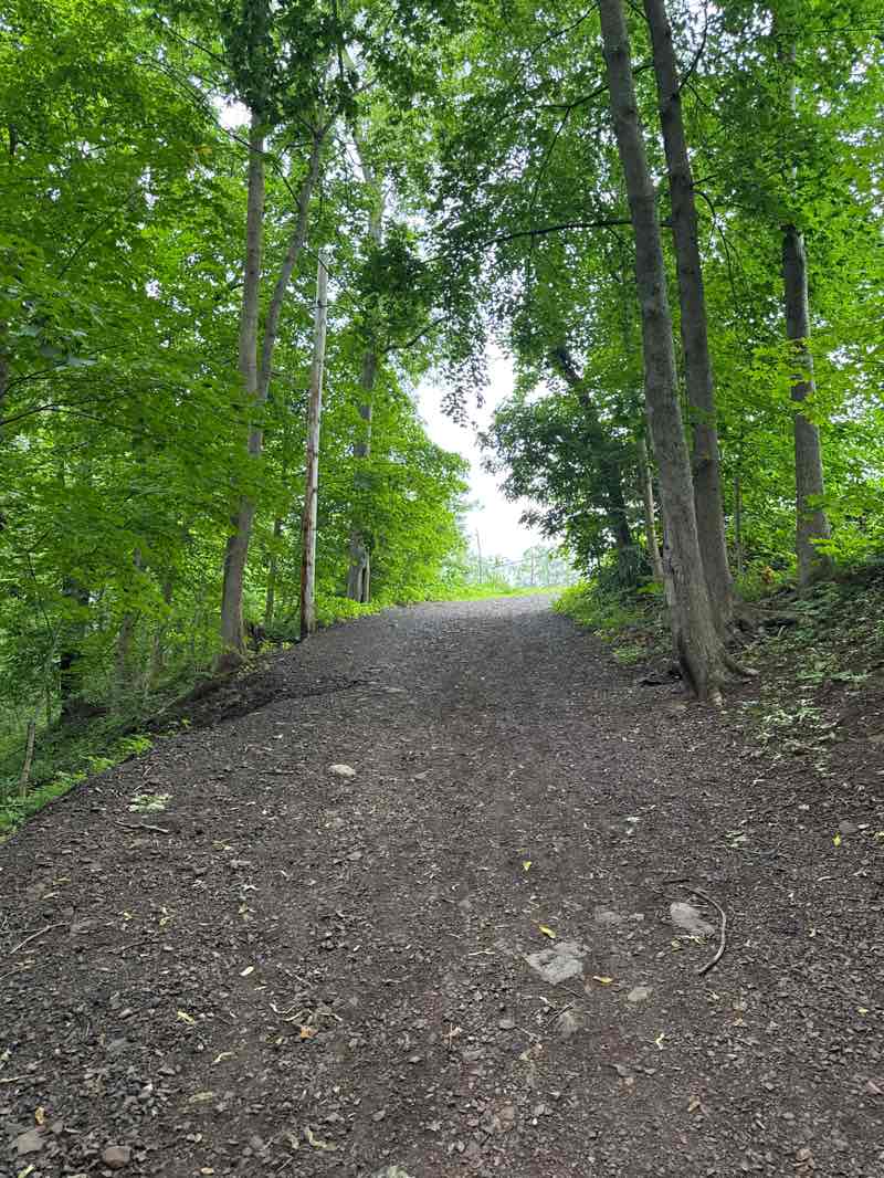 walking near me in Menlo Park in autumn