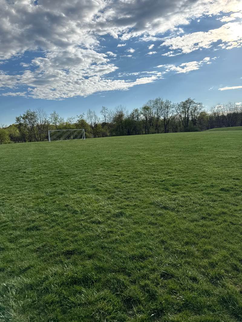 walking near me in Anderson Park in spring