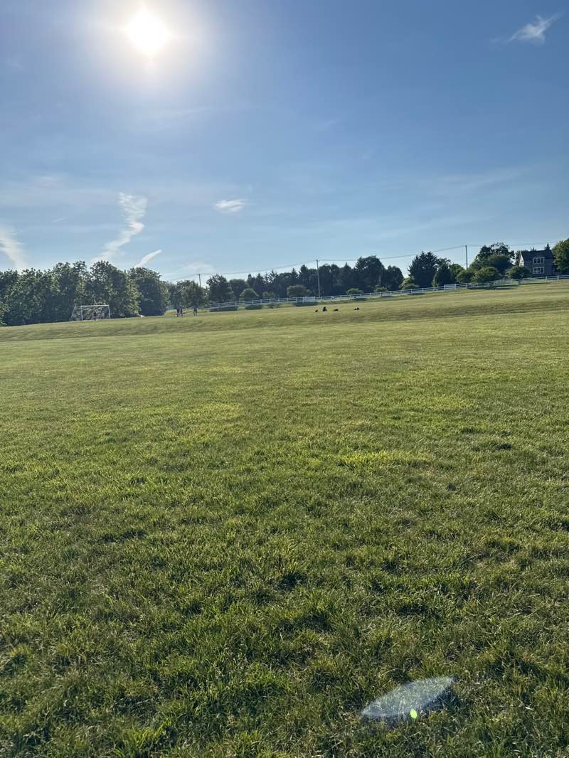 walking near me in Anderson Park in summer