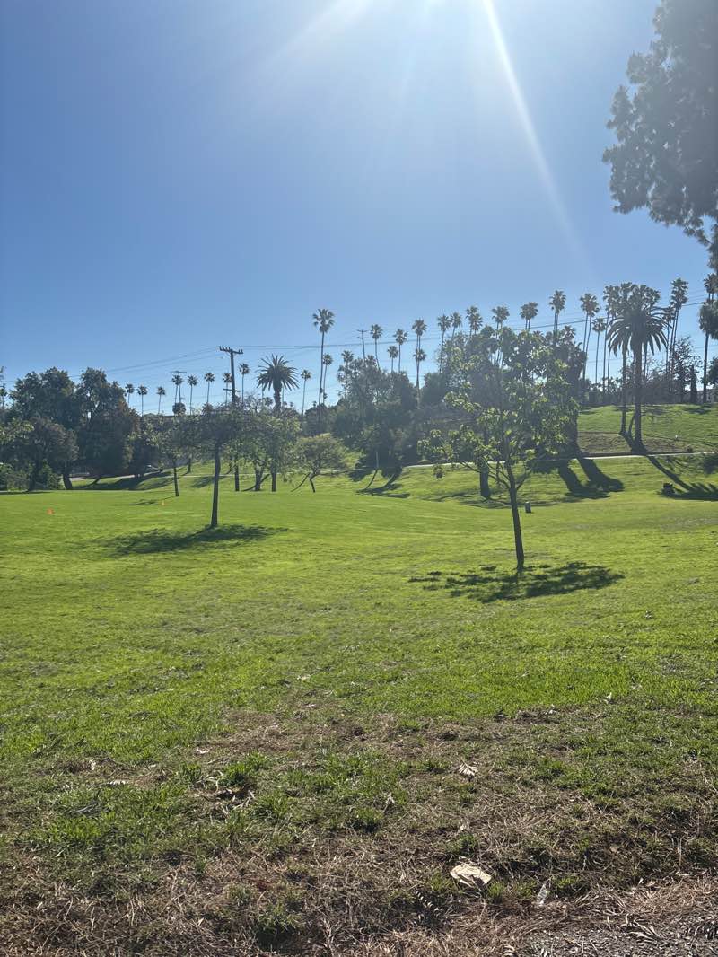 walking near me in Edward Vincent Jr. Park in spring
