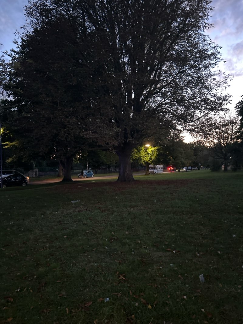 walking near me in Donkey's Common in autumn
