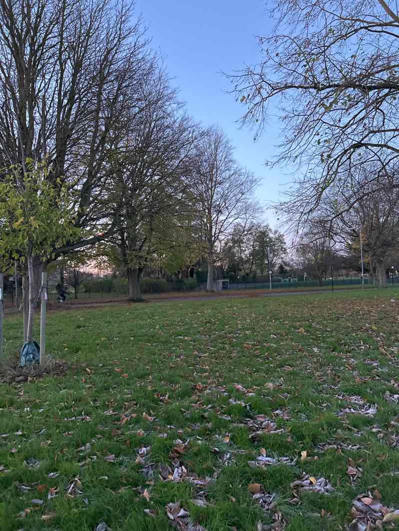 walking near me in Coleridge Recreation Ground in autumn