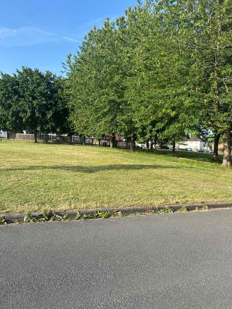 walking near me in Dudley Road recreation ground in summer