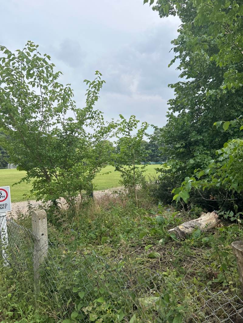 walking near me in Wale Recreation Ground in summer