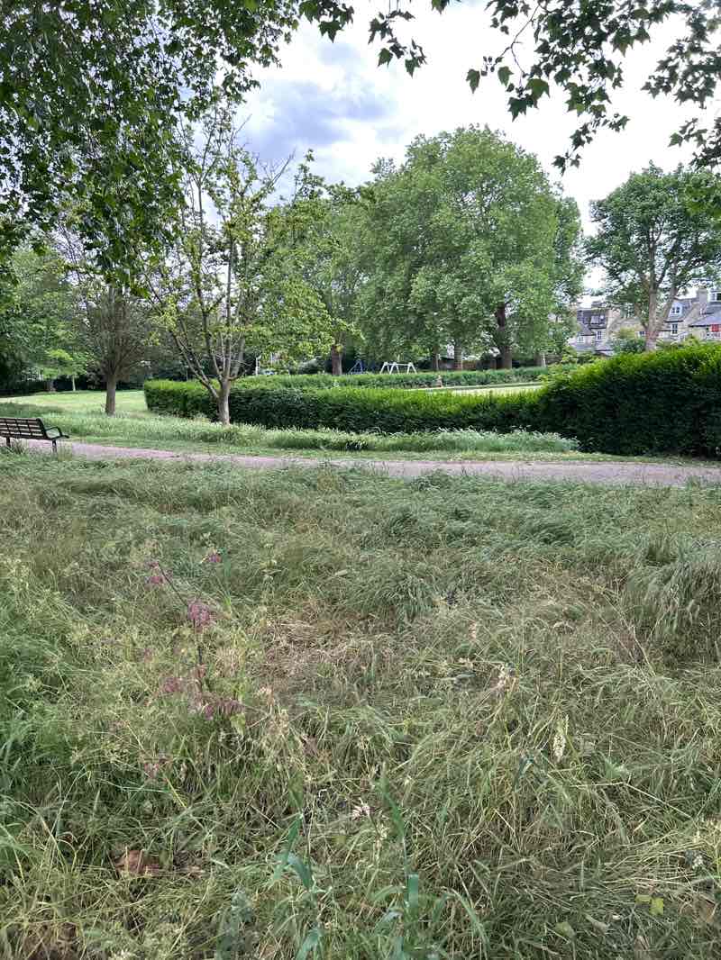 walking near me in Alexandra Gardens in summer