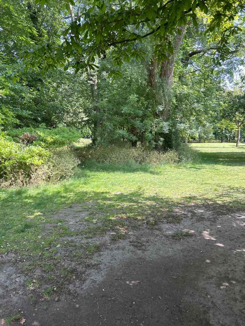 walking near me in Cherry Hinton Hall park in summer