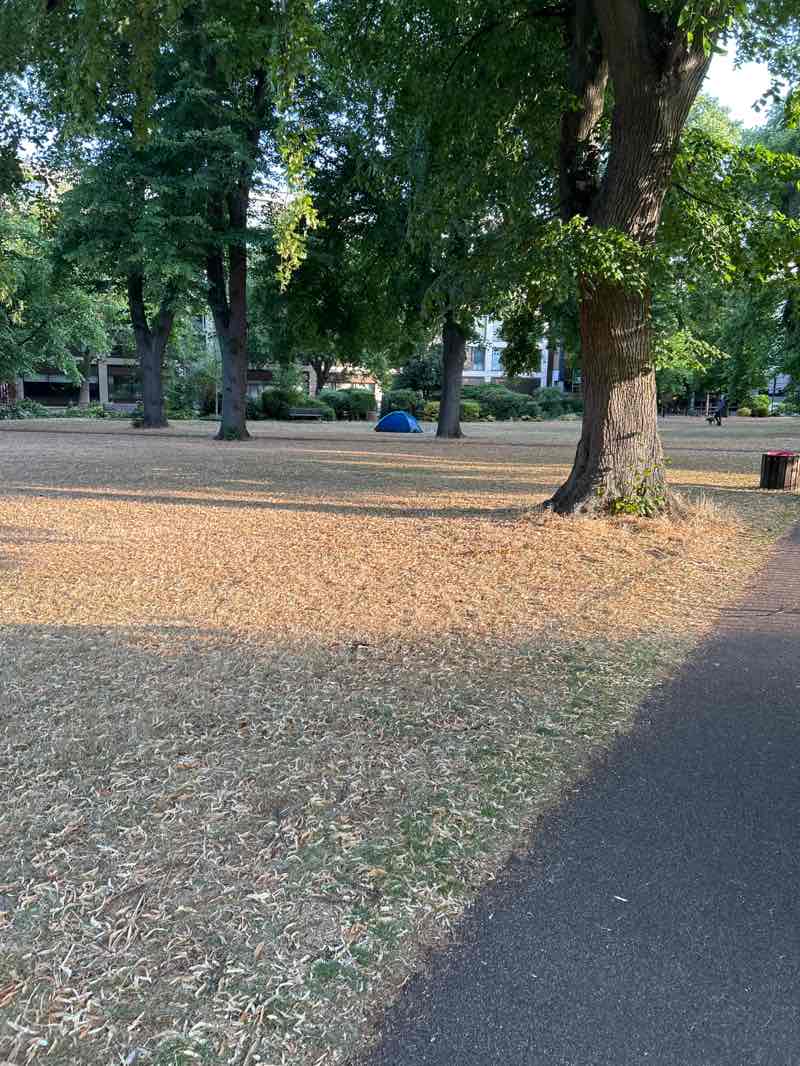 walking near me in Petersfield in summer