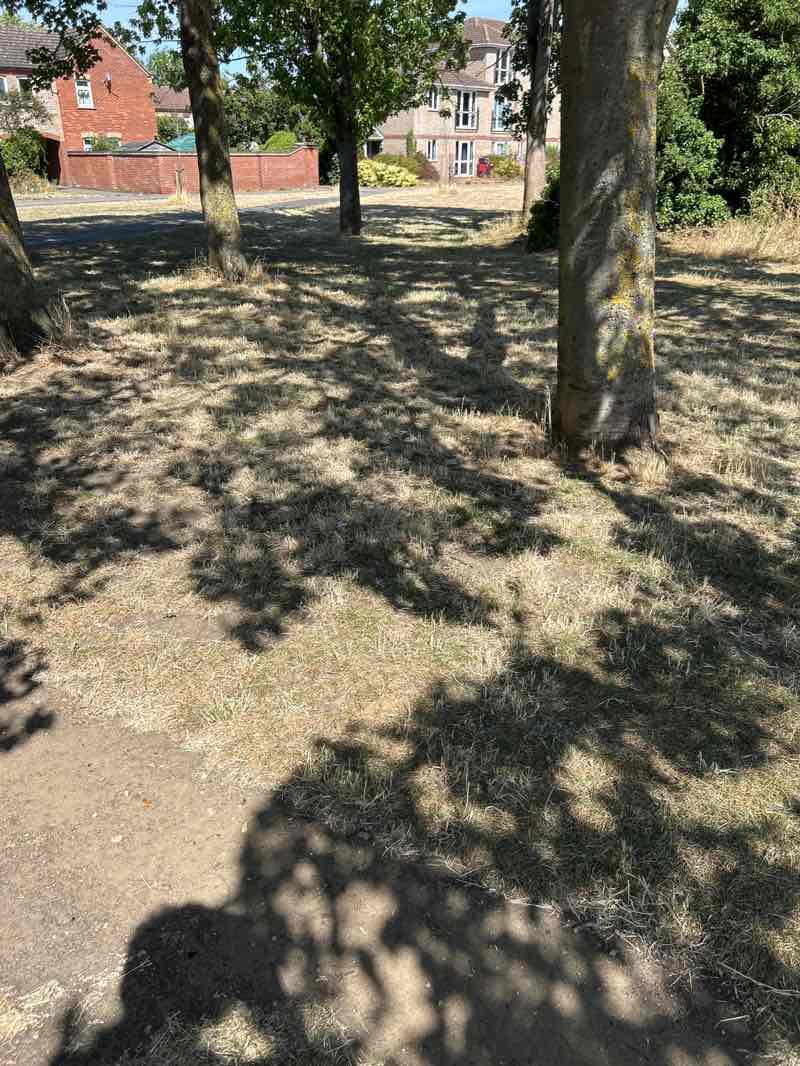 walking near me in King's Hedges Recreation Ground in summer