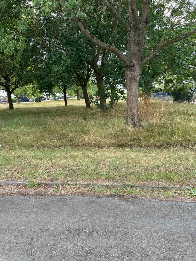 walking near me in Trumpington Recreation Ground in autumn