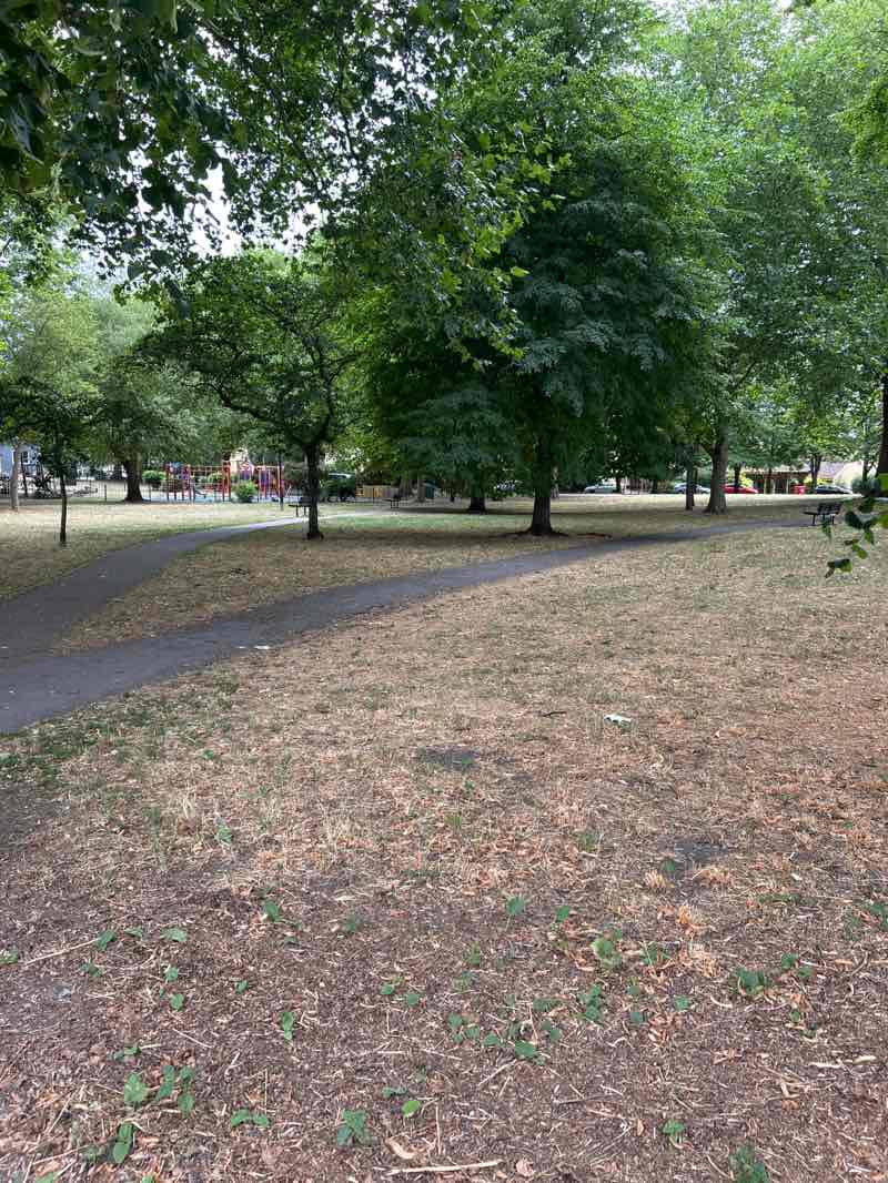 walking near me in Saint Matthew's Piece in autumn