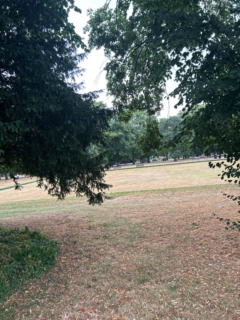 walking near me in Christ's Pieces in summer