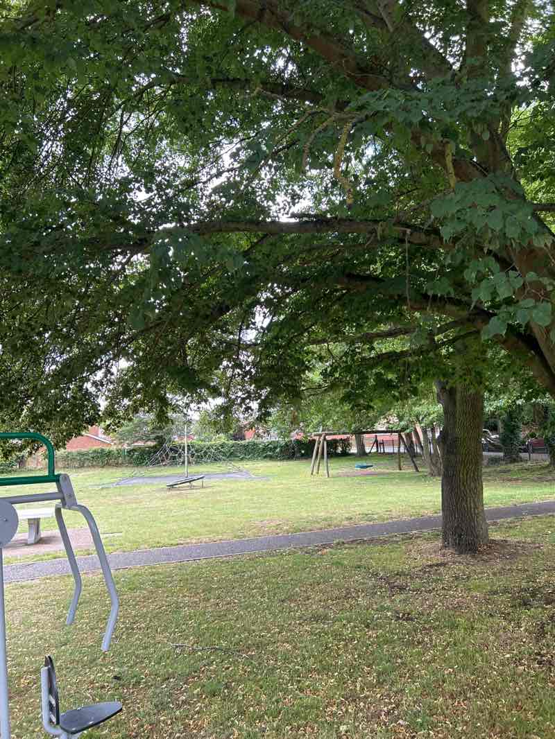 walking near me in Henry Smith Playing Fields in autumn