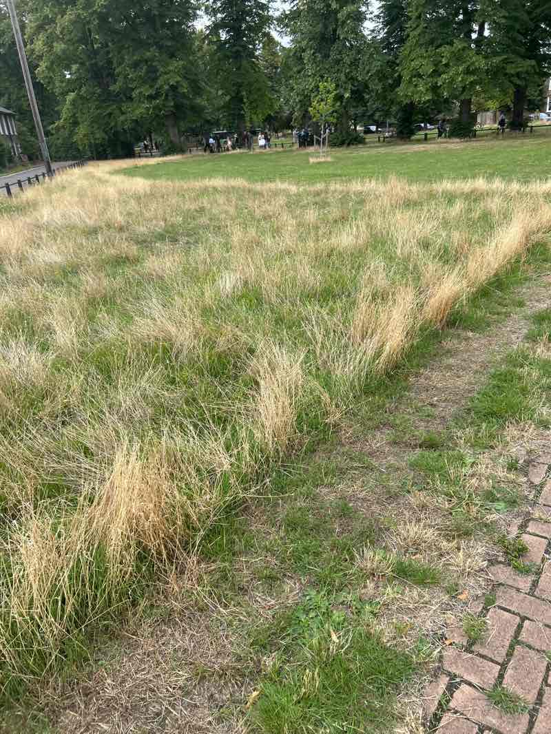 walking near me in New Square in autumn