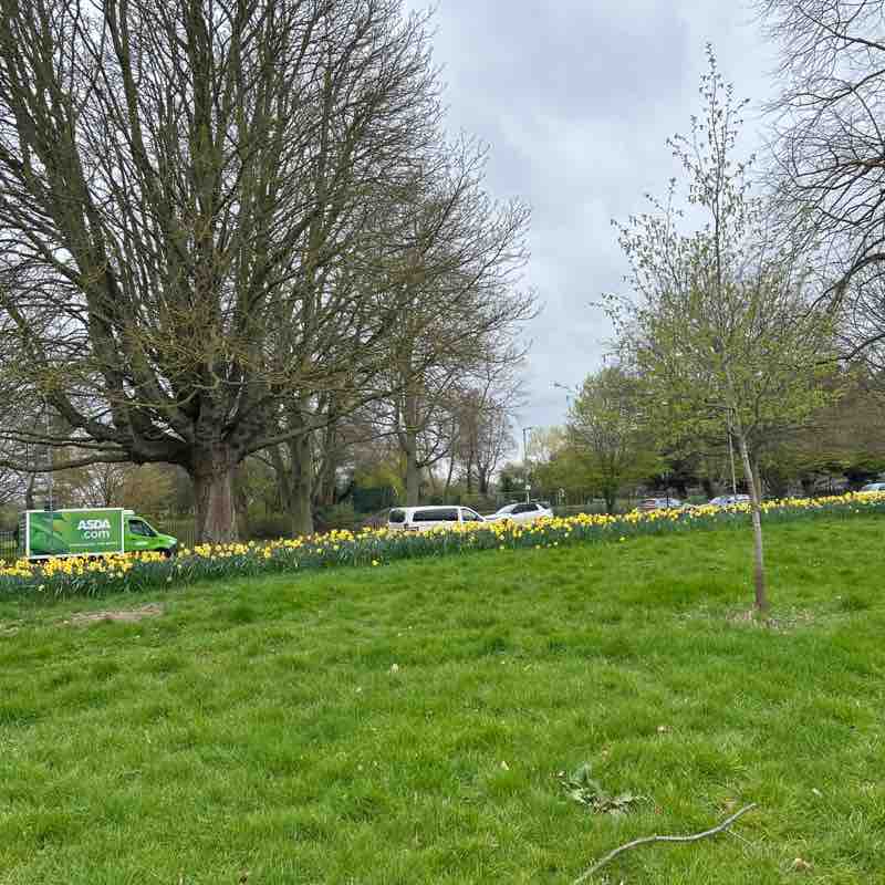 🇬🇧IamNoob🇬🇧 post 1