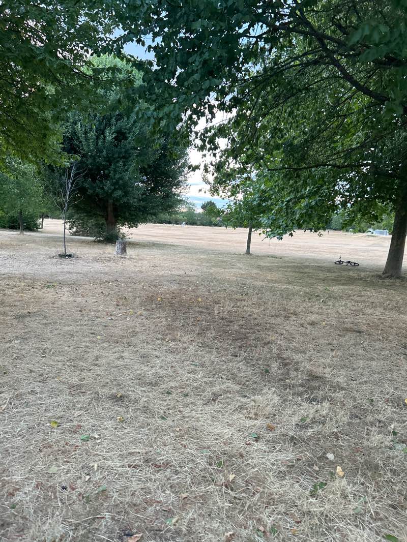 walking near me in Nuns Way Recreation Ground in summer