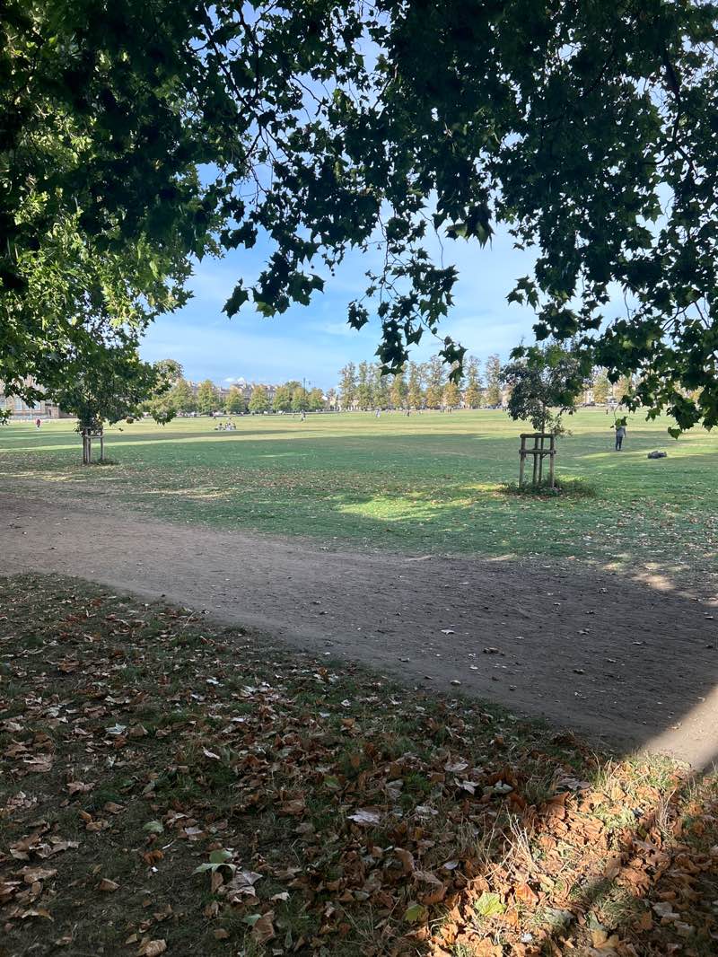 walking near me in Parker's Piece in autumn