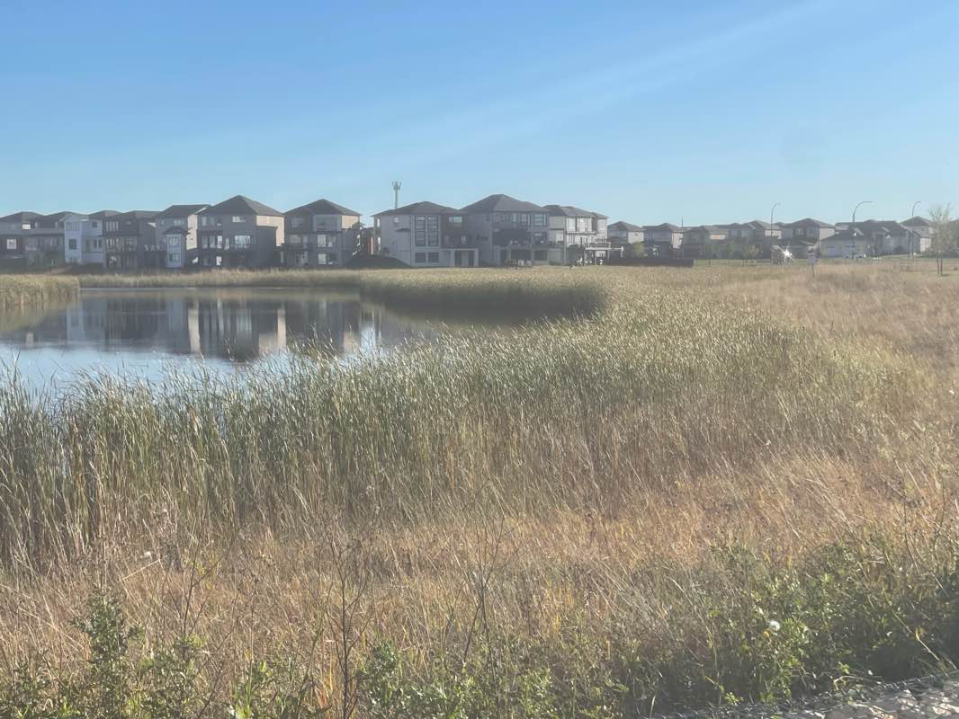 walking near me in Kiwanis Park in autumn