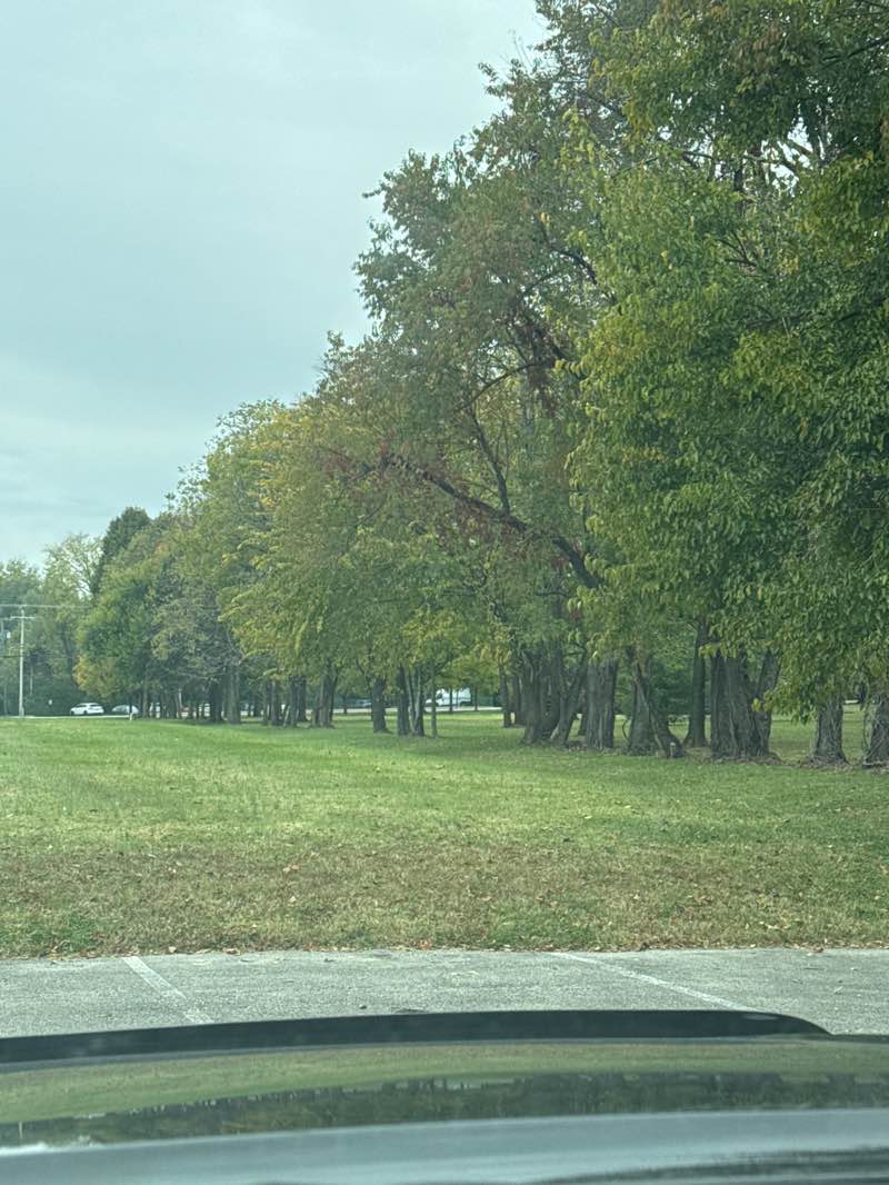 walking near me in Robsion Park in autumn