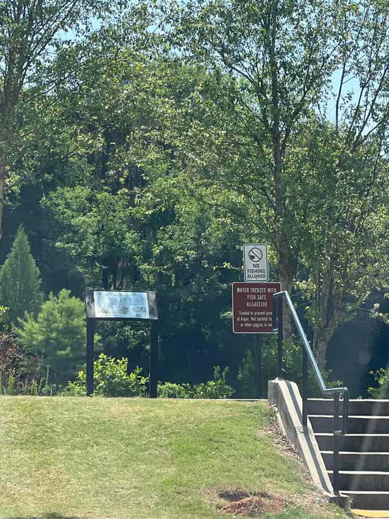walking near me in Big Springs Park in spring