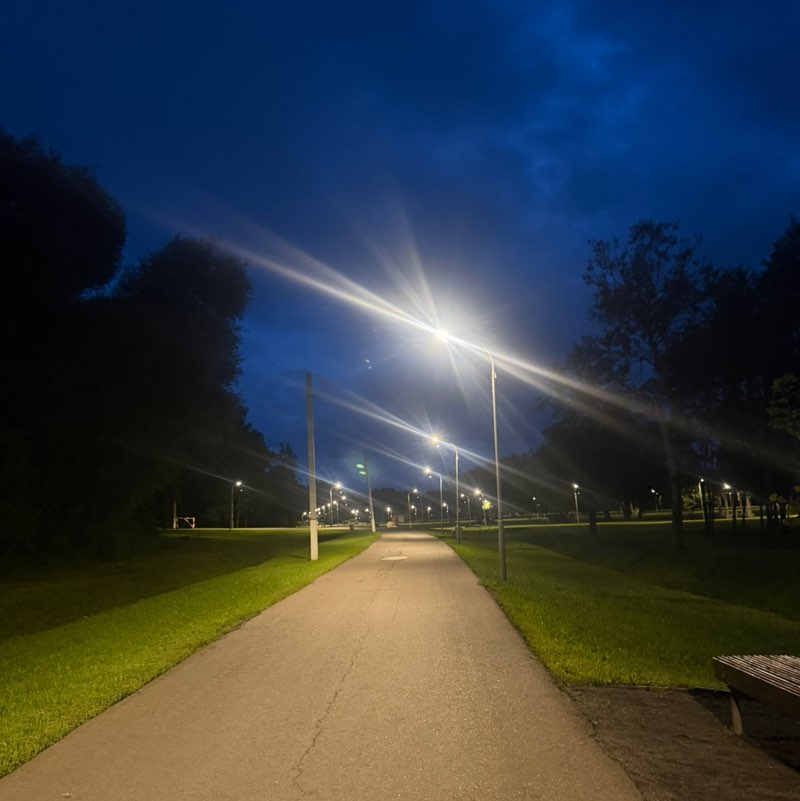 God Squad Tami post image
