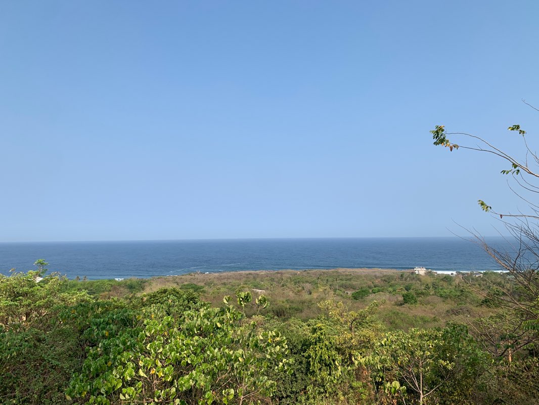 walking near me in Maria Cristina Park in winter