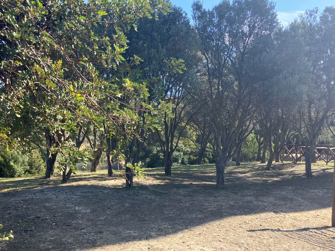 walking near me in Parco del Colle di San Michele in winter