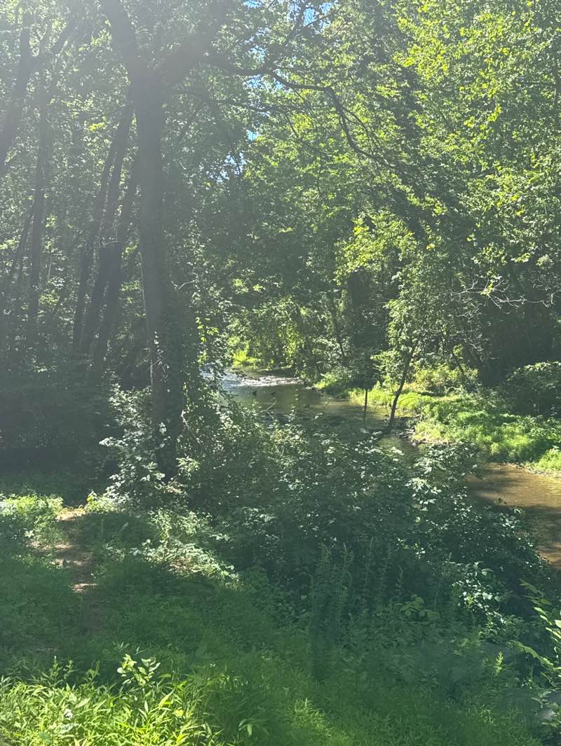 walking near me in Riverfront Park in summer