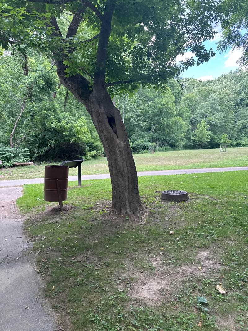 walking near me in Riverfront Park in summer