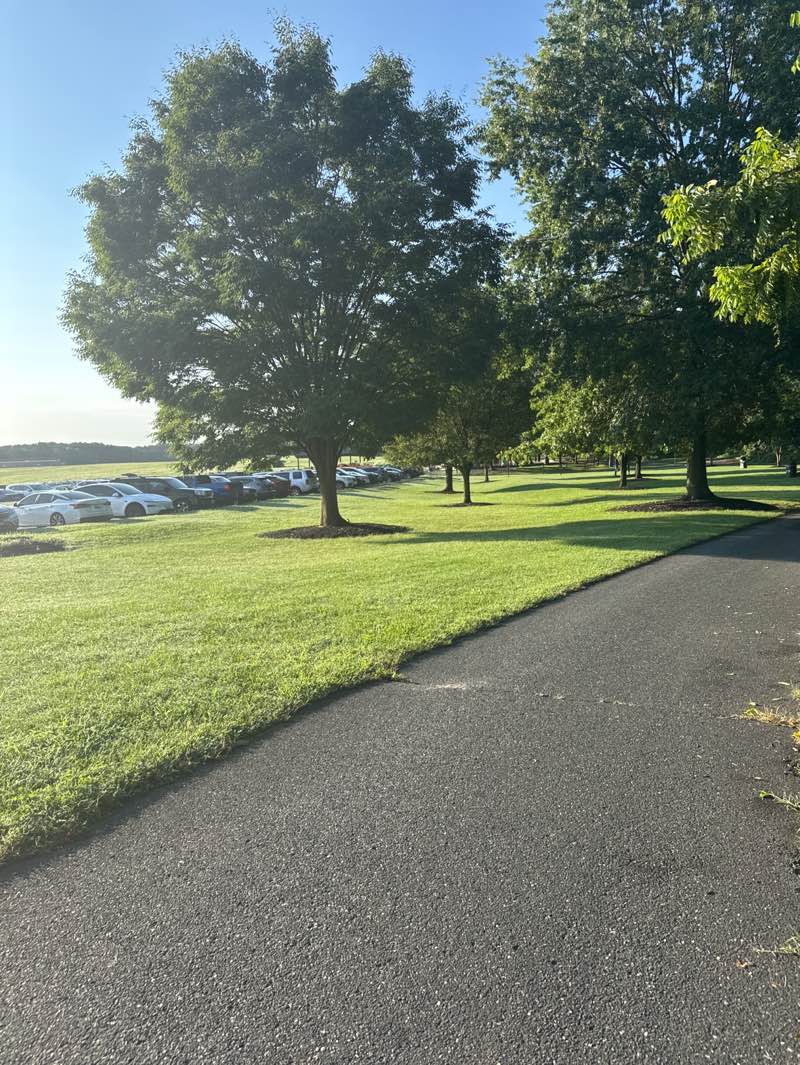walking near me in Thomas A. Dixon Jr. Aircraft Observation Area in summer