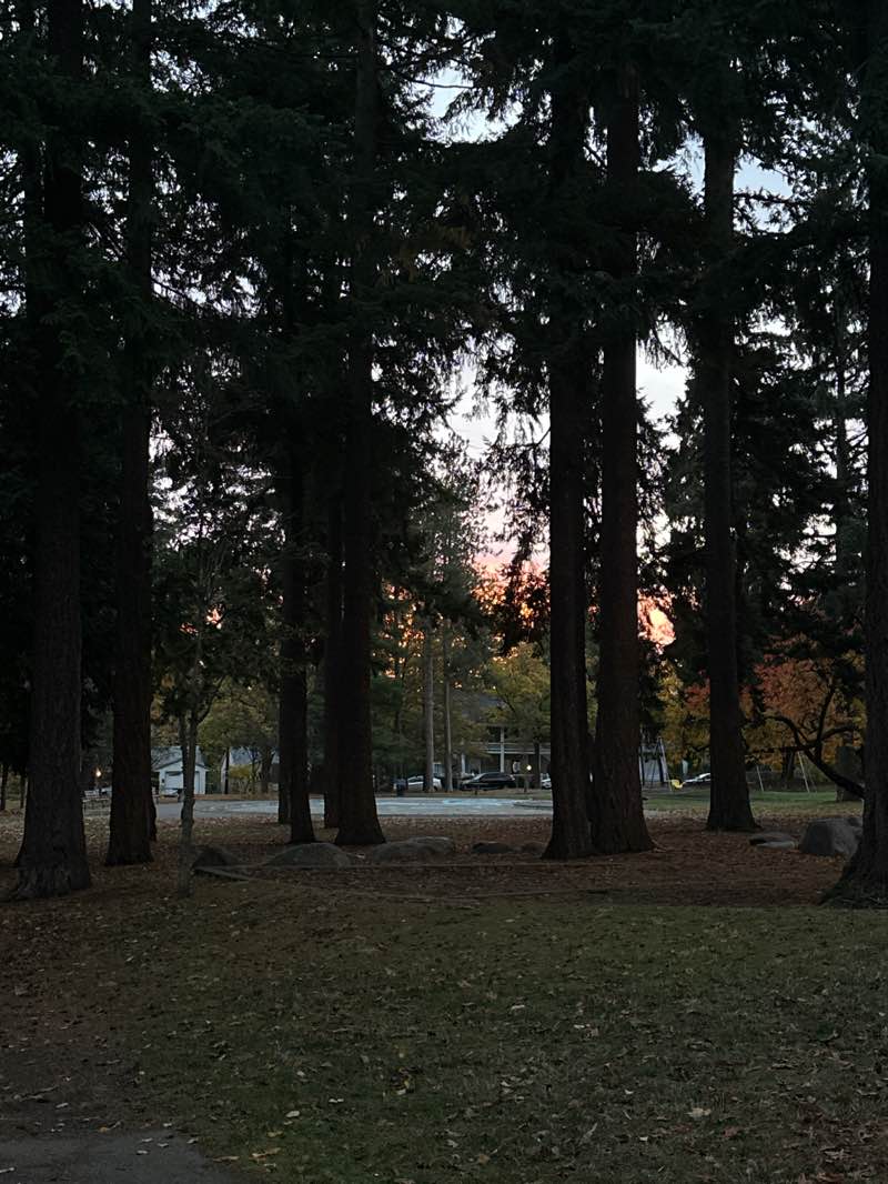 walking near me in Hiawatha Playfield in autumn