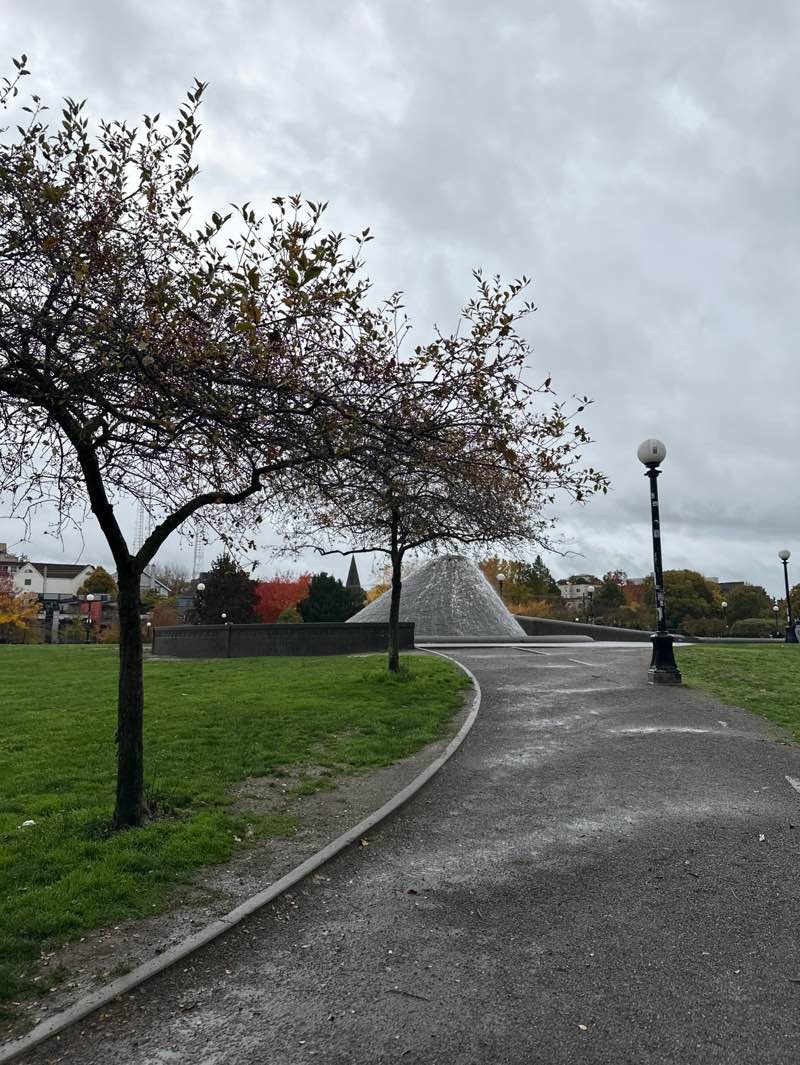 walking near me in Cal Anderson Park in autumn