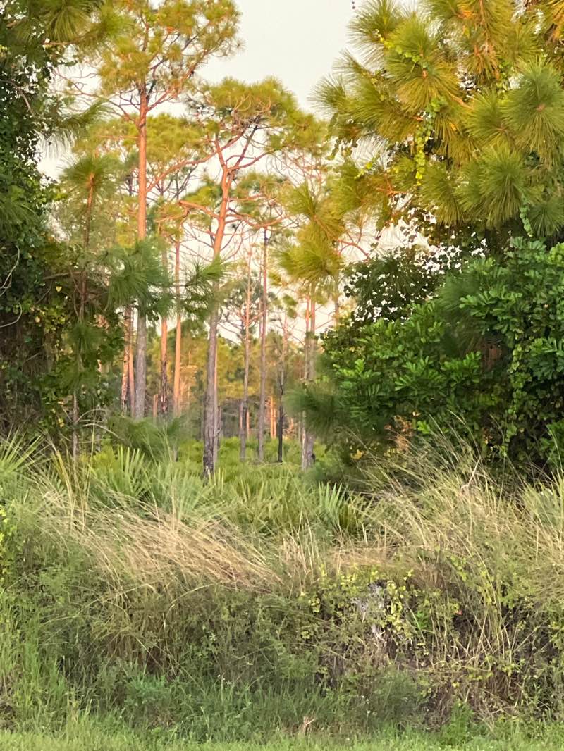 walking near me in Yucca Pens Unit State Wildlife Management Area in autumn