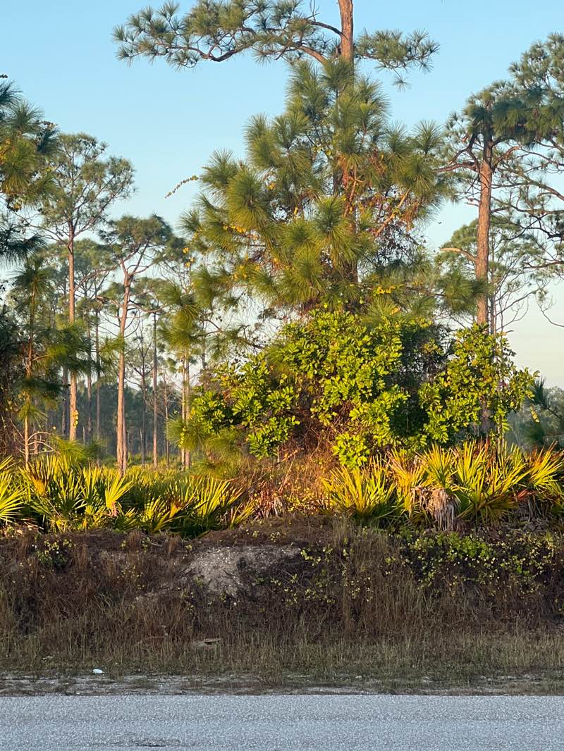 walking near me in Yucca Pens Unit State Wildlife Management Area in winter