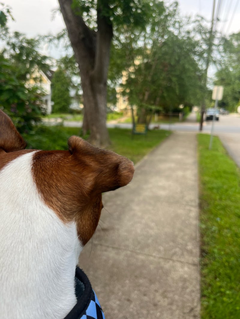 walking near me in The Triangle Park in winter