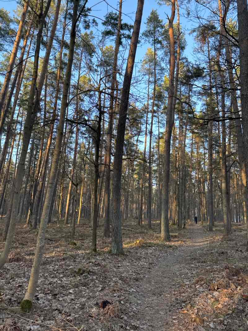 walking near me in Rīgas 84. vidusskolas sporta komplekss in spring