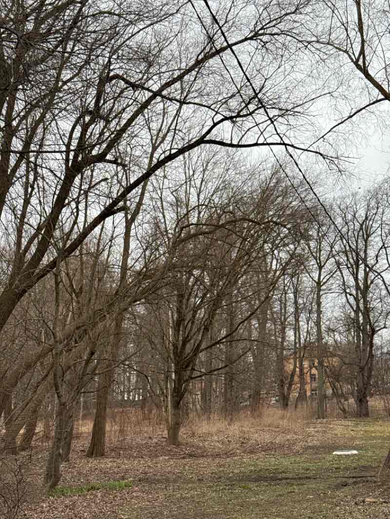 walking near me in Strazdmuižas parks in spring