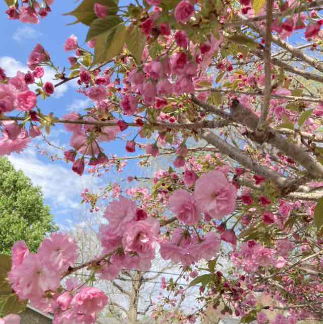 Jennifer Himelick post 1