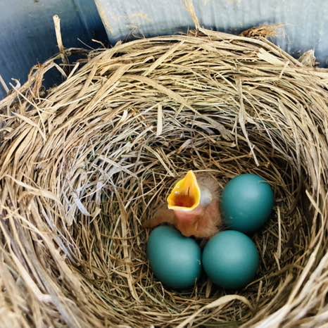 Jennifer Himelick post 1