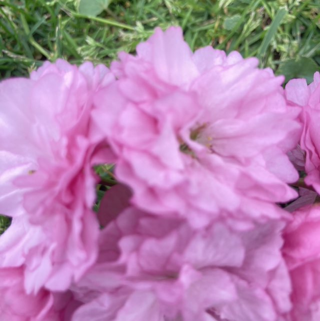 Jennifer Himelick post 1