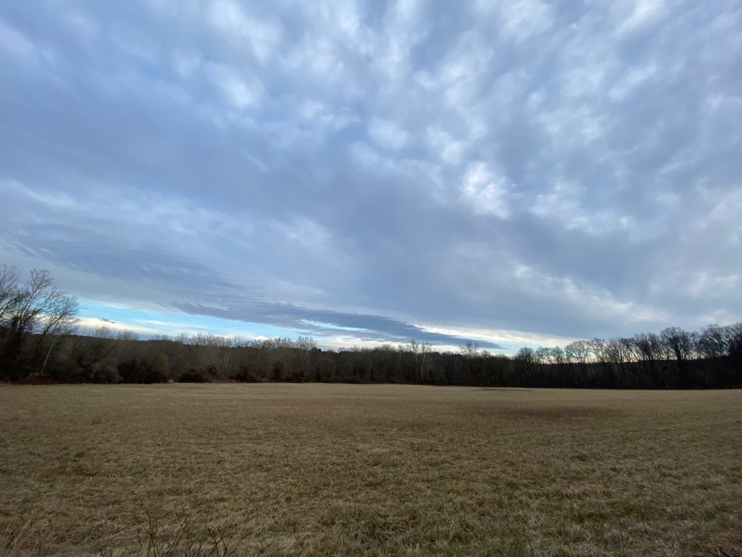 walking near me in White Clay Creek Preserve in winter