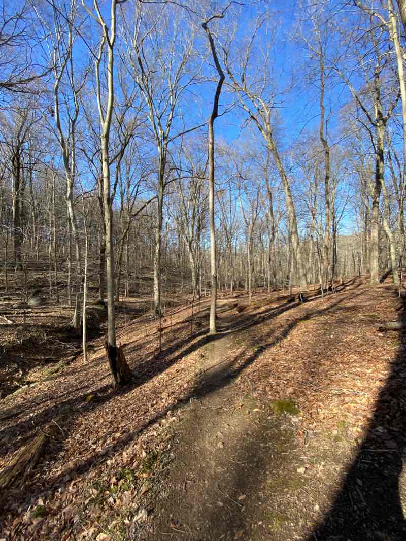walking near me in Old Paper Mill Road Park in winter