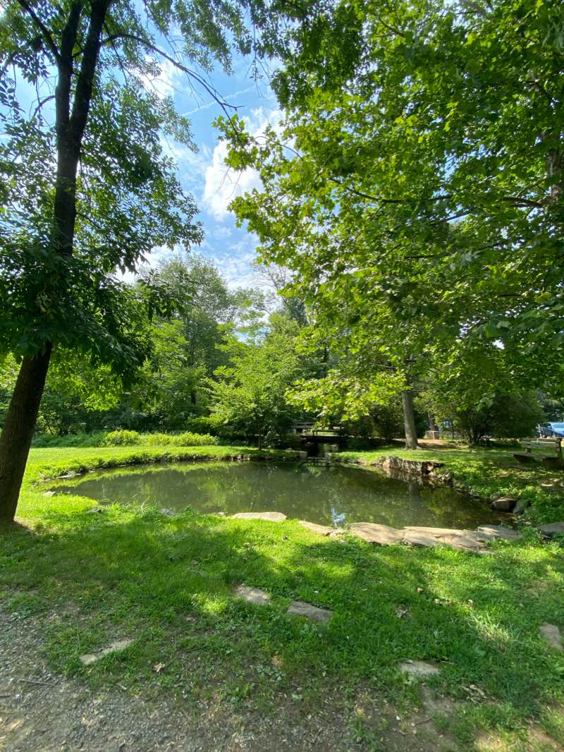 walking near me in Newlin Grist Mill Park in winter